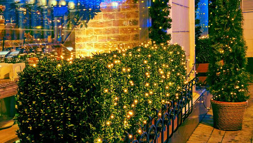 Festive Curb Appeal for the Holidays: Top Outdoor Decorating Ideas