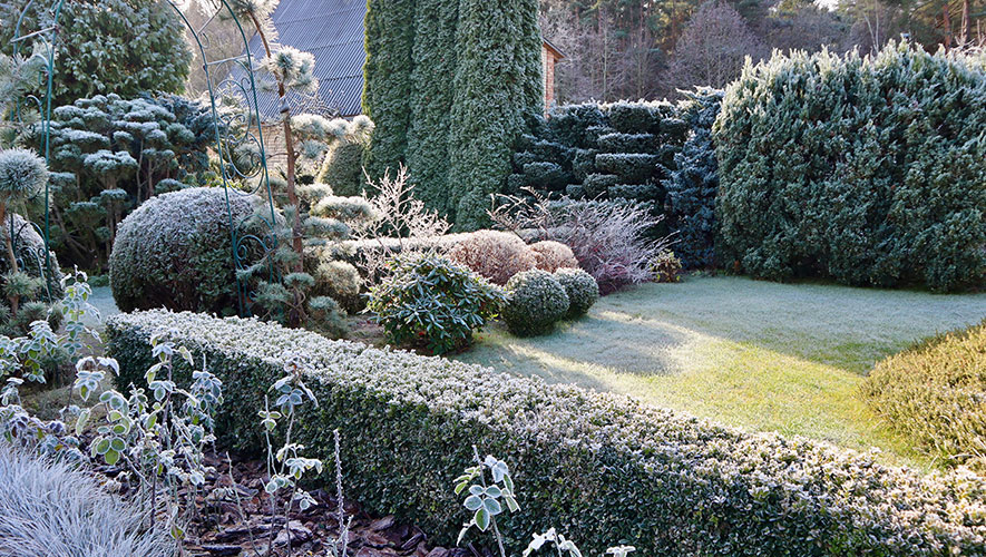Plan your spring landscaping in winter: Design & build in advance