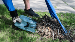 Early spring yard prep checklist: Getting your landscape ready after winter